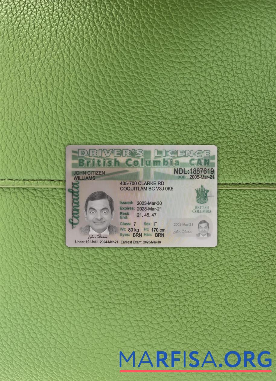 Printable Canada British Columbia driving license 2021 present photolook template